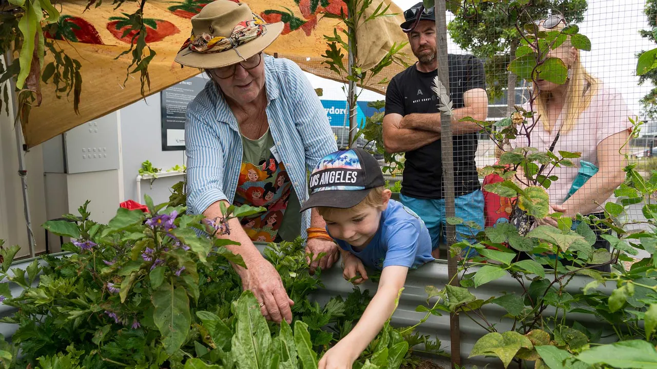 Young child and family picking from vegetable garden.